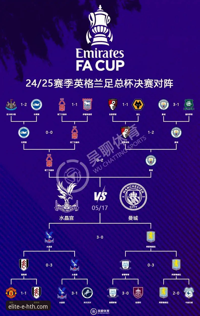 华体会体育平台合法吗教程 从逆转绝杀到积分榜攀升:曼联2-1水晶宫一役的战术深度解析与平台观赛体验
